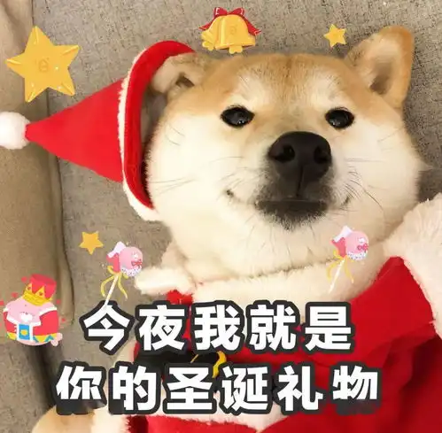 叮咚您的圣诞老人已上线,即刻开启许愿模式哟