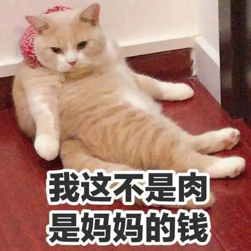 猫咪喝红牛补充牛磺酸十年宠医你是在逗我吗