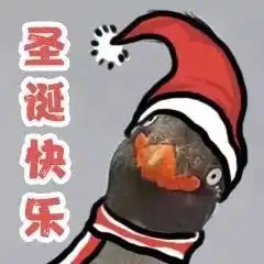 表情包别的小朋友都有圣诞礼物,我的呢