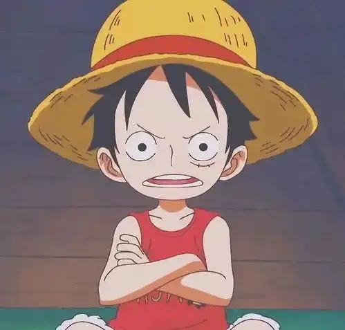 214海贼王头像17岁没能送你花,27岁请你喝酒吧