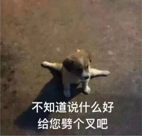 健忘图片表情包搞笑文雅