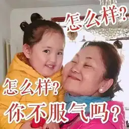 最后,是表情包说尽了我一年的酸甜苦辣