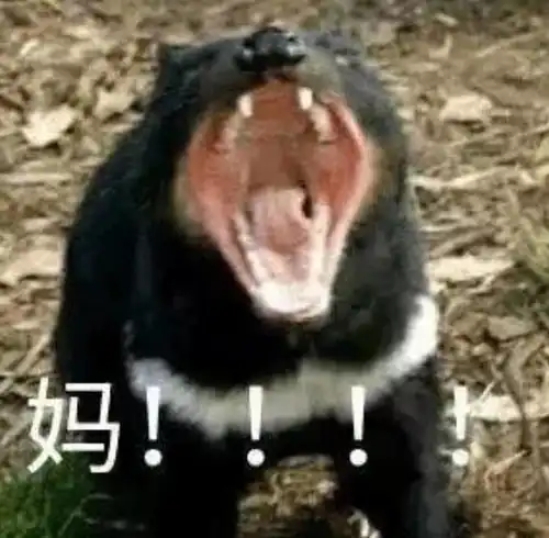 妈妈妈妈妈妈妈妈妈妈妈妈妈妈