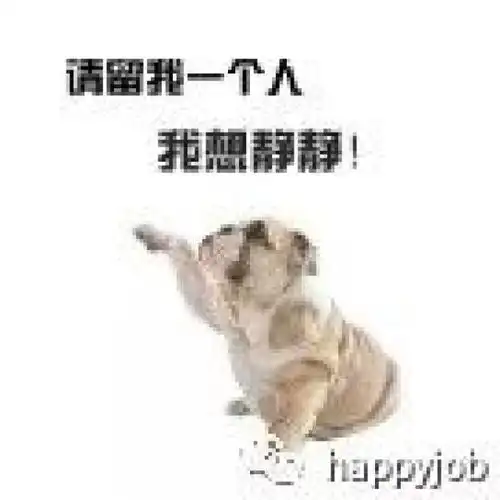 别催了,你们要的表情包这儿呢