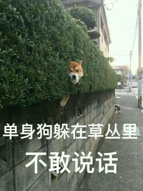 为什么男朋友对自己撒谎