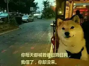 柴犬表情包上面的字写的好像是一个人看尽世态炎凉的图片求大神告知