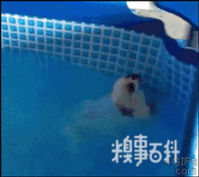 幽默搞笑段子集易烊千玺和雷佳音这俩人的表情真的是收放自如啊