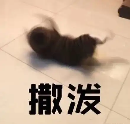 表情包帮我关下月亮,谢谢