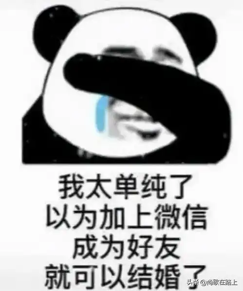 早啊表情包神图