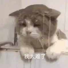 把握三点,学会高效率背单词