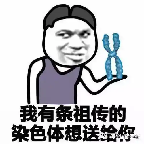 23对染色体独一无二的你,海孕带你一探究竟