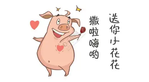 千库原创小猪送小花花表情包卡通配图免费下载其他配图900像素千图网