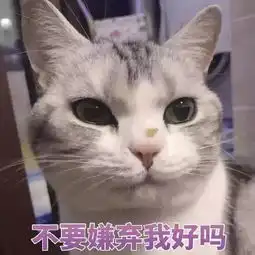 猫咪表情包打滚,撒娇,不要嫌弃我好吗