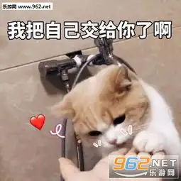 心花怒放粉色心心表情包试图撒娇可爱猫咪心心表情包下载乐游网游戏下载