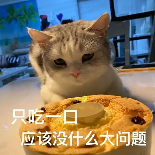 猫和老鼠搞笑表情包图片大全亲亲我的宝贝,给你点颜色瞧瞧