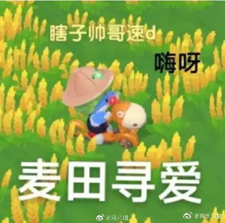 摩尔庄园的任务是不是发朋友圈摩尔庄园朋友圈文案骚话分享