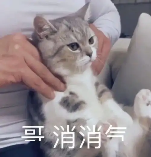 熊二表情包是什么意思