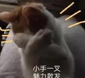 情人节最适合铲屎官们发朋友圈的7条文案