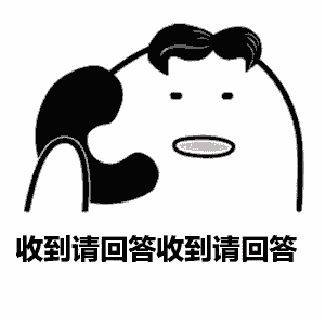 你的一票至关重要投它