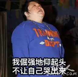 撸袖子打人表情包韩红