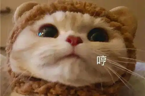 2021年度十大网络用语发布你最常用哪一个