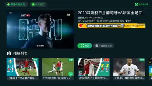 怎么看欧洲杯直播回放,全场回放哪里可以看