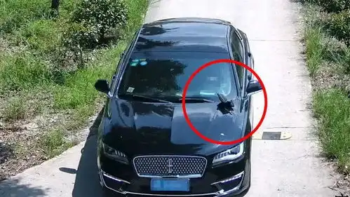 把包放在了引擎盖上结果...