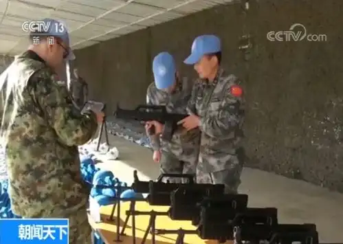 中国第17批赴黎维和部队通过联合国装备核查