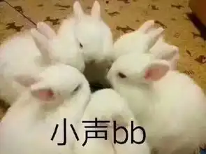 拿红萝卜的兔子表情包粉