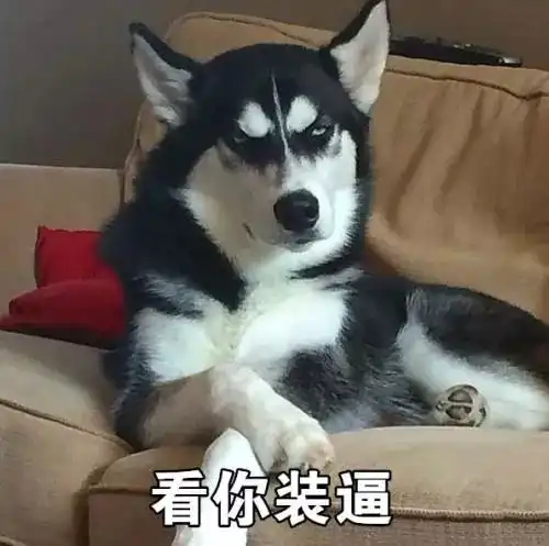 宋民国敬礼搞笑表情憨憨