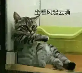 气象中到大雨,个别点暴雨雨又来了