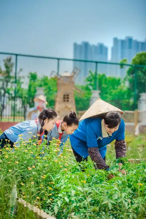 龙湖智创生活,汇入城市的海