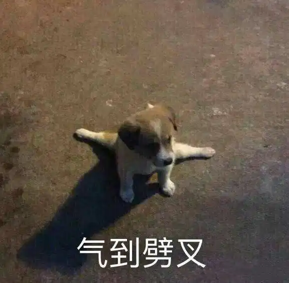 微信动图表情包搞笑打扁