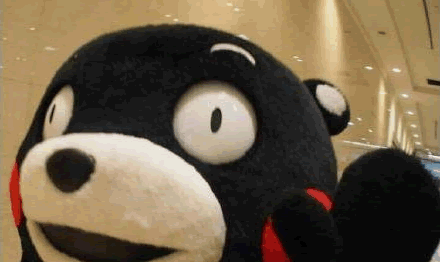 你长这熊样也想睡我熊本qq表情包免费版下载