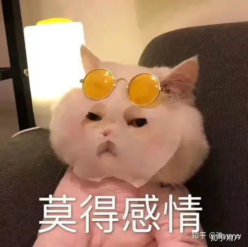 沙雕图片搞笑表情包fto