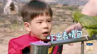 妈妈是超人嗯哼裤子掉了,霍思燕被鹦鹉吓到表情包