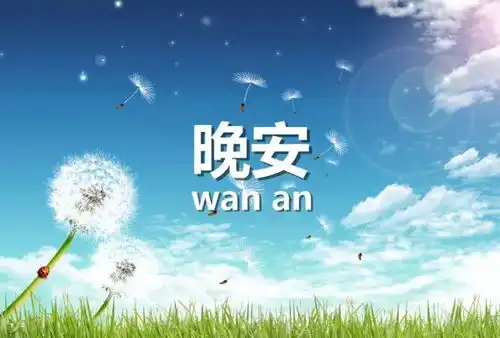 朋友圈晚安语录句子