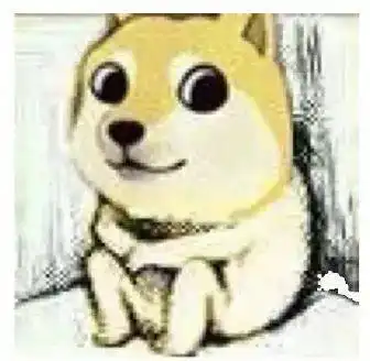 拿什么拯救你,我的鸡娃