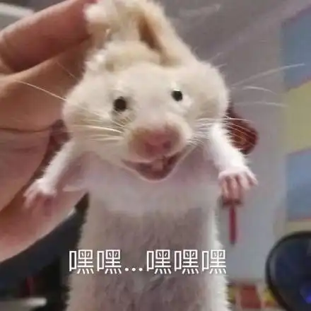 打屁股表情包仓鼠