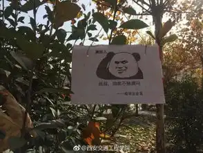 吸烟找不到对象禁烟表情包一夜之间挂满校园网友别骗我了