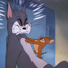 表情包猫和老鼠表情包合集