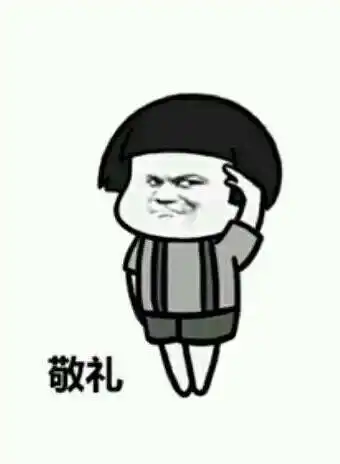 最近比较火的升旗仪式表情包