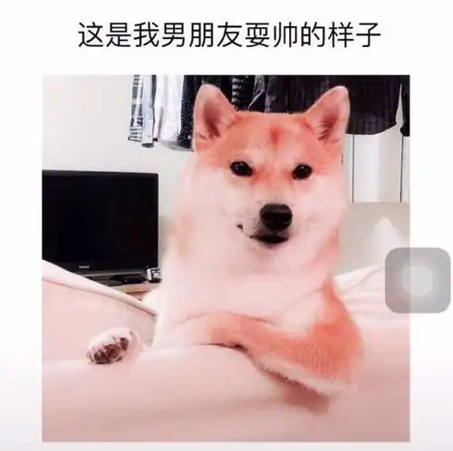 发男朋友巨污表情包暧昧