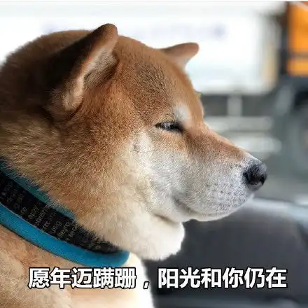 来一组七夕特供表情包,狗子们快拿走