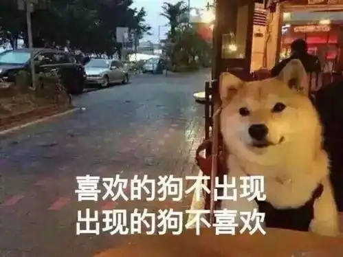 表情包情人节,防身必备搜狐搞笑搜狐网