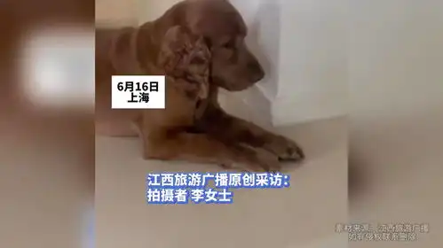 来进被窝表情包主人
