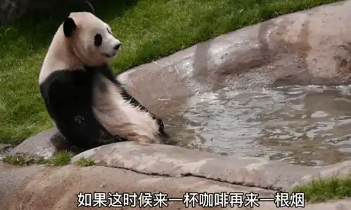 大熊猫泡澡时大意,结果还溺水了,工作人员也很紧张