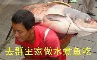 qq搞笑表情包推荐群表情