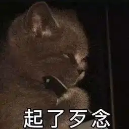 猫咪斗图表情包合集看我这六块腹肌,就知道你打不过我