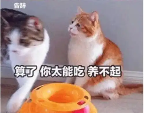 疯狂盗窃电动车的窃贼栽了你,对,你,太和警方喊你交车了政务澎湃新闻thepaper